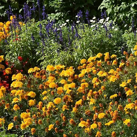 Sonneneck -adults Only- Hotel